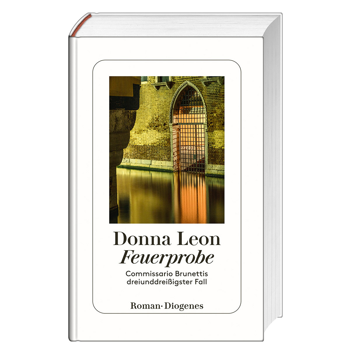 Feuerprobe von Diogenes Verlag AG