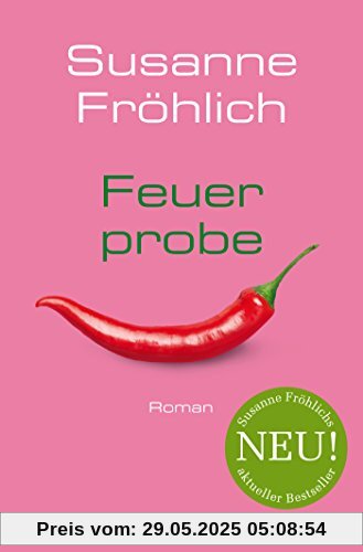 Feuerprobe: Roman