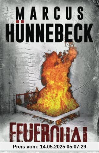 Feuerqual: Thriller