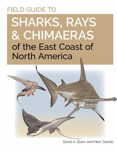 Field Guide to Sharks, Rays and Chimaeras of the East Coast of North America von Princeton University Press