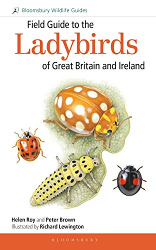 Field Guide to the Ladybirds of Great Britain and Ireland (Bloomsbury Wildlife Guides) von Bloomsbury Wildlife