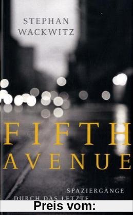 Fifth Avenue: Spaziergänge durch das letzte Jahrhundert