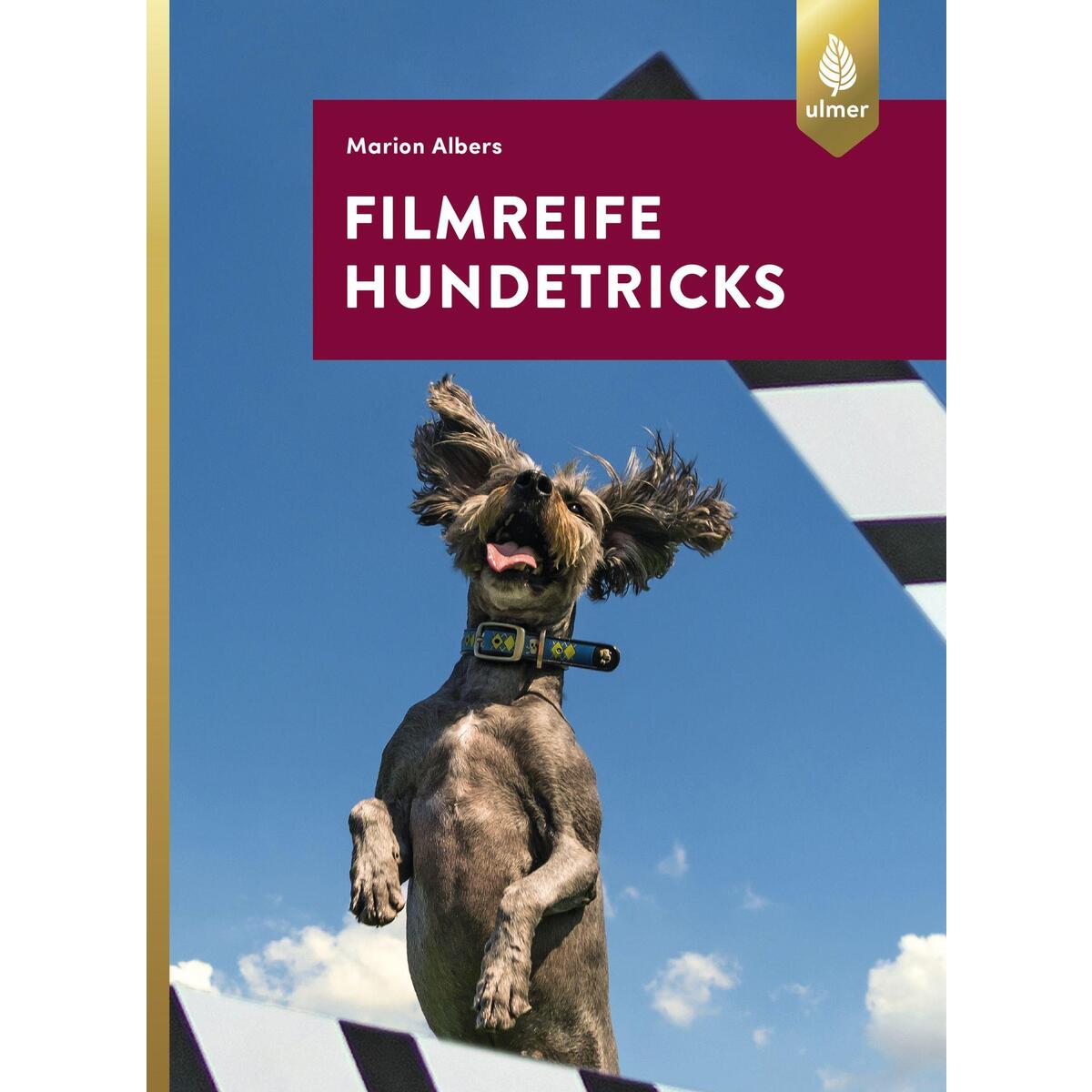 Filmreife Hundetricks von Ulmer Eugen Verlag