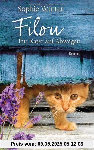 Filou - Ein Kater auf Abwegen: Roman