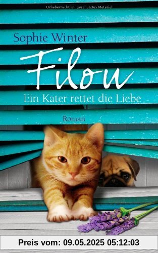 Filou - Ein Kater rettet die Liebe: Roman
