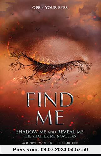 Find Me (Shatter Me)