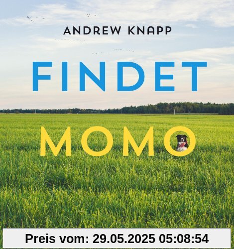 Findet Momo