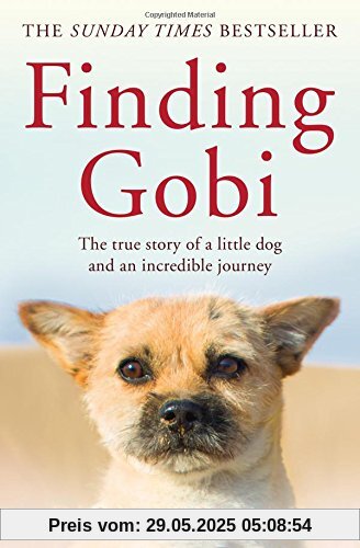Finding Gobi (Main edition)