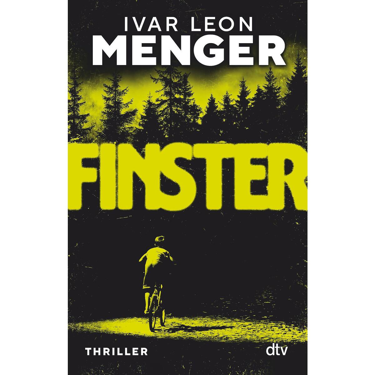 Finster Finster von dtv Verlagsgesellschaft
