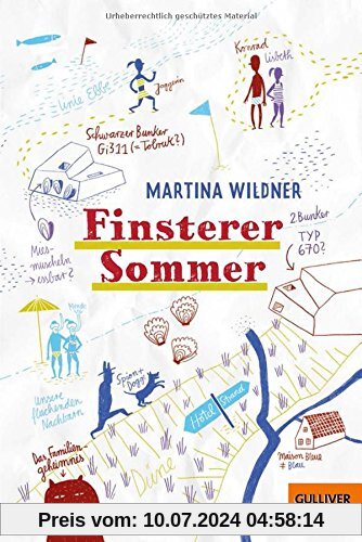 Finsterer Sommer: Roman