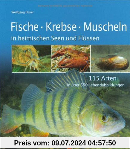 Fische, Krebse, Muscheln in heimischen Seen und Flüssen: 115 Arten in über 350 Lebendabbildungen