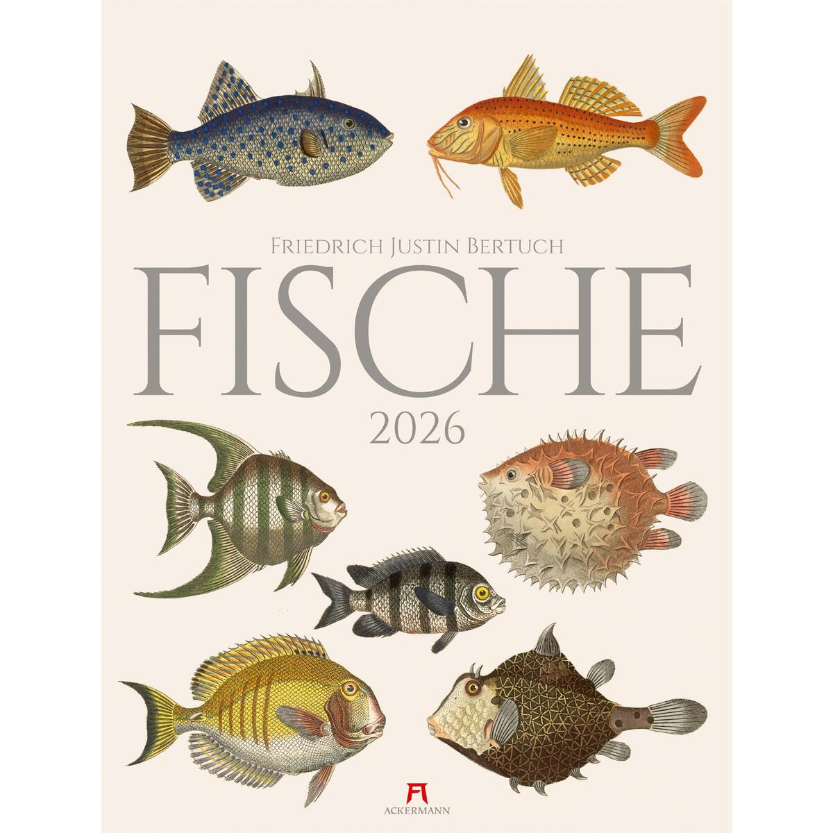 Fische Kalender 2026 Fische Kalender 2026 von Ackermann Kunstverlag