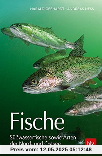 Fische: Süßwasserfische sowie Arten der Nord- und Ostsee