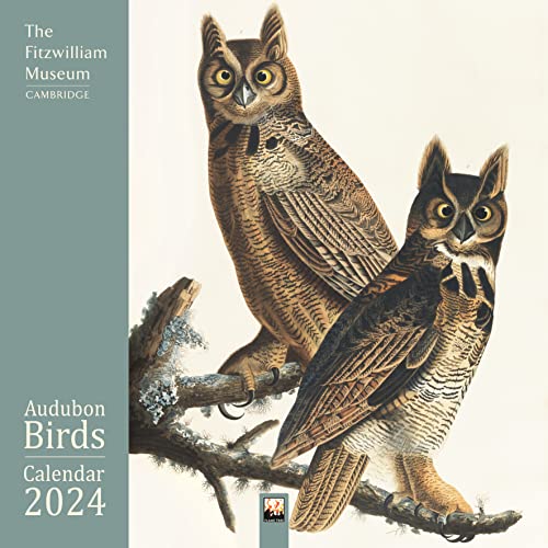 Fitzwilliam Museum Audubon Birds 2024 Calendar von Flame Tree Publishing
