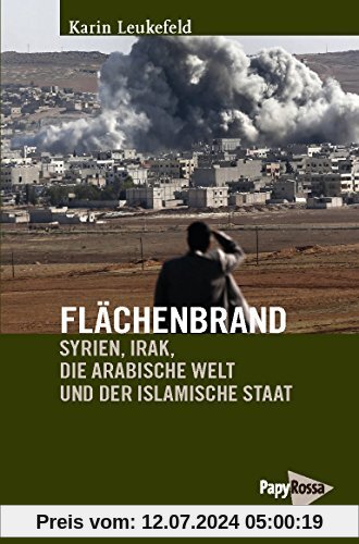 Flächenbrand: Syrien, Irak, die Arabische Welt und der Islamische Staat (Neue Kleine Bibliothek)