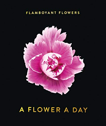 Flamboyant Flowers: A Flower A Day
