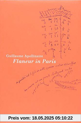 Flaneur in Paris (Wolffs Broschur)