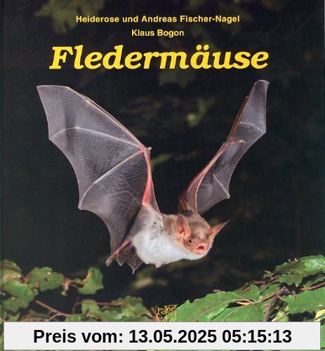 Fledermäuse