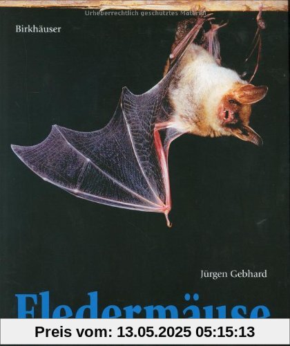Fledermäuse