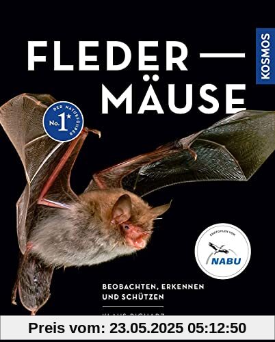 Fledermäuse: Beobachten, erkennen und schützen