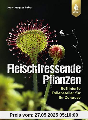 Fleischfressende Pflanzen: Raffinierte Fallensteller für Ihr Zuhause Fleischfressende Pflanzen: Raffinierte Fallensteller für Ihr Zuhause