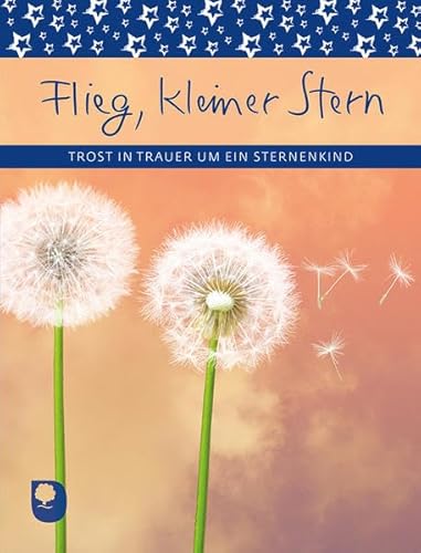 Flieg, kleiner Stern: Trost in Trauer um ein Sternenkind (Eschbacher Geschenkheft)