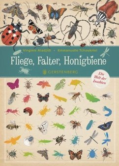 Fliege, Falter, Honigbiene von Gerstenberg Verlag