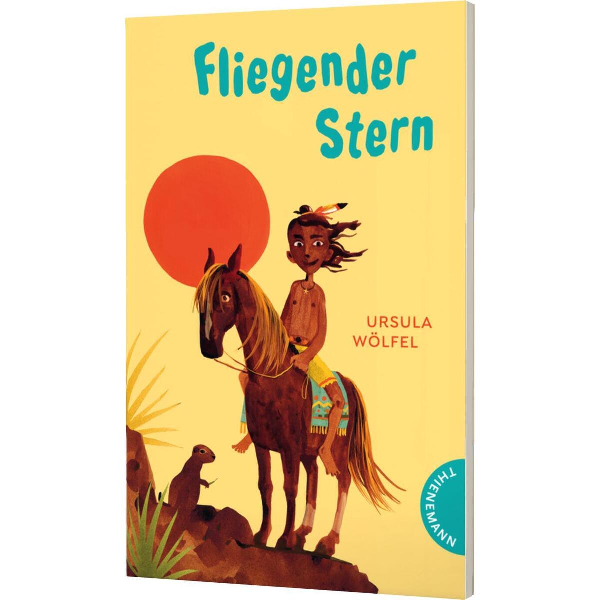 Fliegender Stern von Thienemann