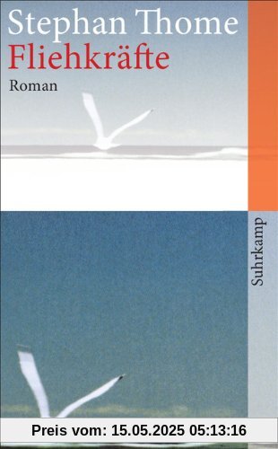 Fliehkräfte: Roman (suhrkamp taschenbuch)