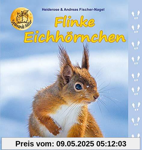 Flinke Eichhörnchen (Spannende Natur)
