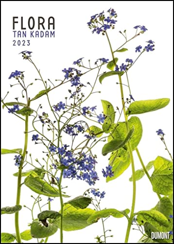 Flora 2023 – Blumen-Kalender von DUMONT– Foto-Kunst von Tan Kadam – Poster-Format 50 x 70 cm von Dumont Kalenderverlag