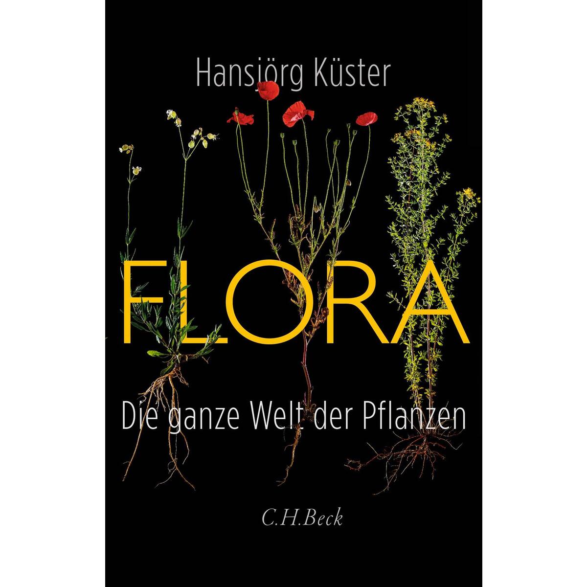 Flora von C.H. Beck