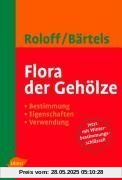 Flora der Gehölze. Bestimmung - Eigenschaften - Verwendung