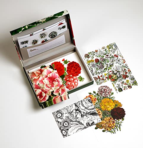 Flower Prints: Letter Writing Set / Briefpapier Set / Set de Correspondence: Letter Wrting Set - Briefpapier Set (PEPIN LETTER WRITING SETS)