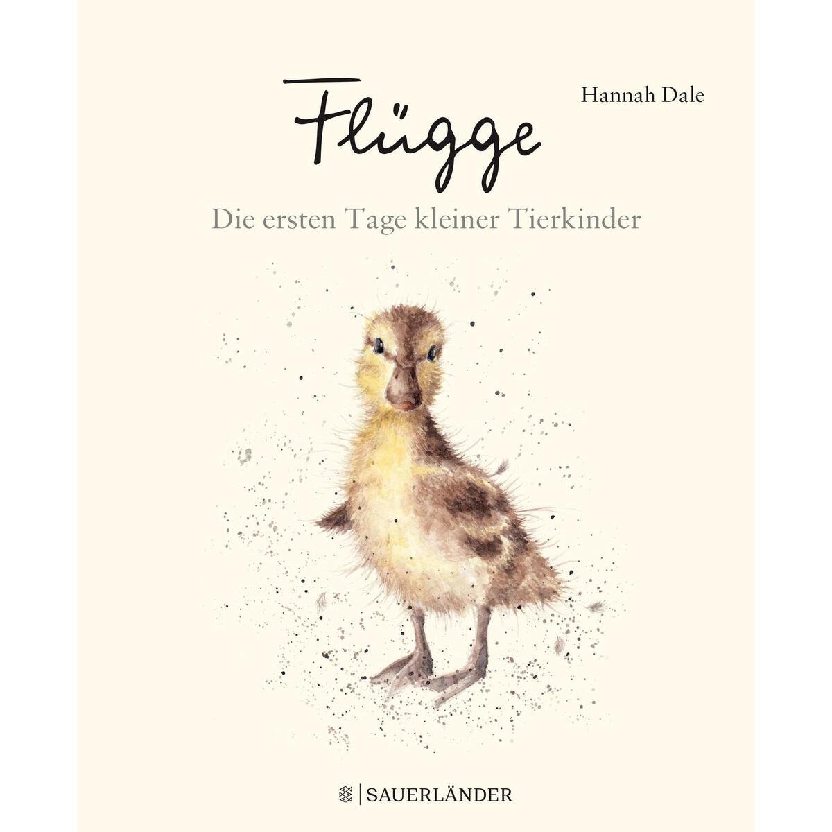 Flügge von Sauerländer