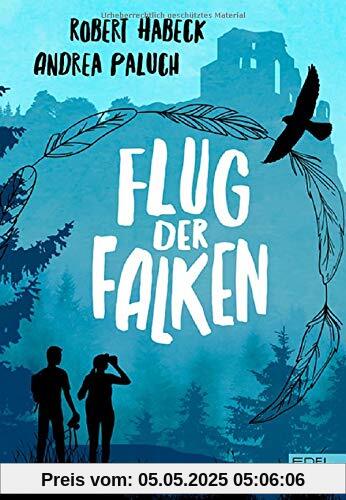 Flug der Falken