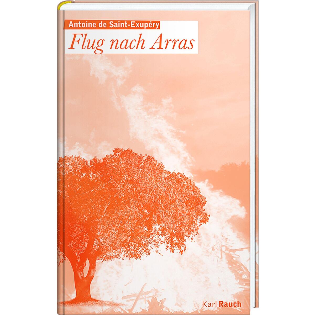 Flug nach Arras von Rauch, Karl Verlag