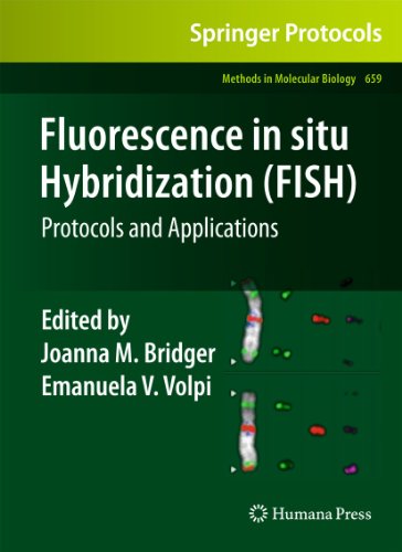 Fluorescence in situ Hybridization (FISH): Protocols and Applications (Methods in Molecular Biology, Band 659)