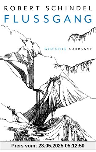 Flussgang: Gedichte