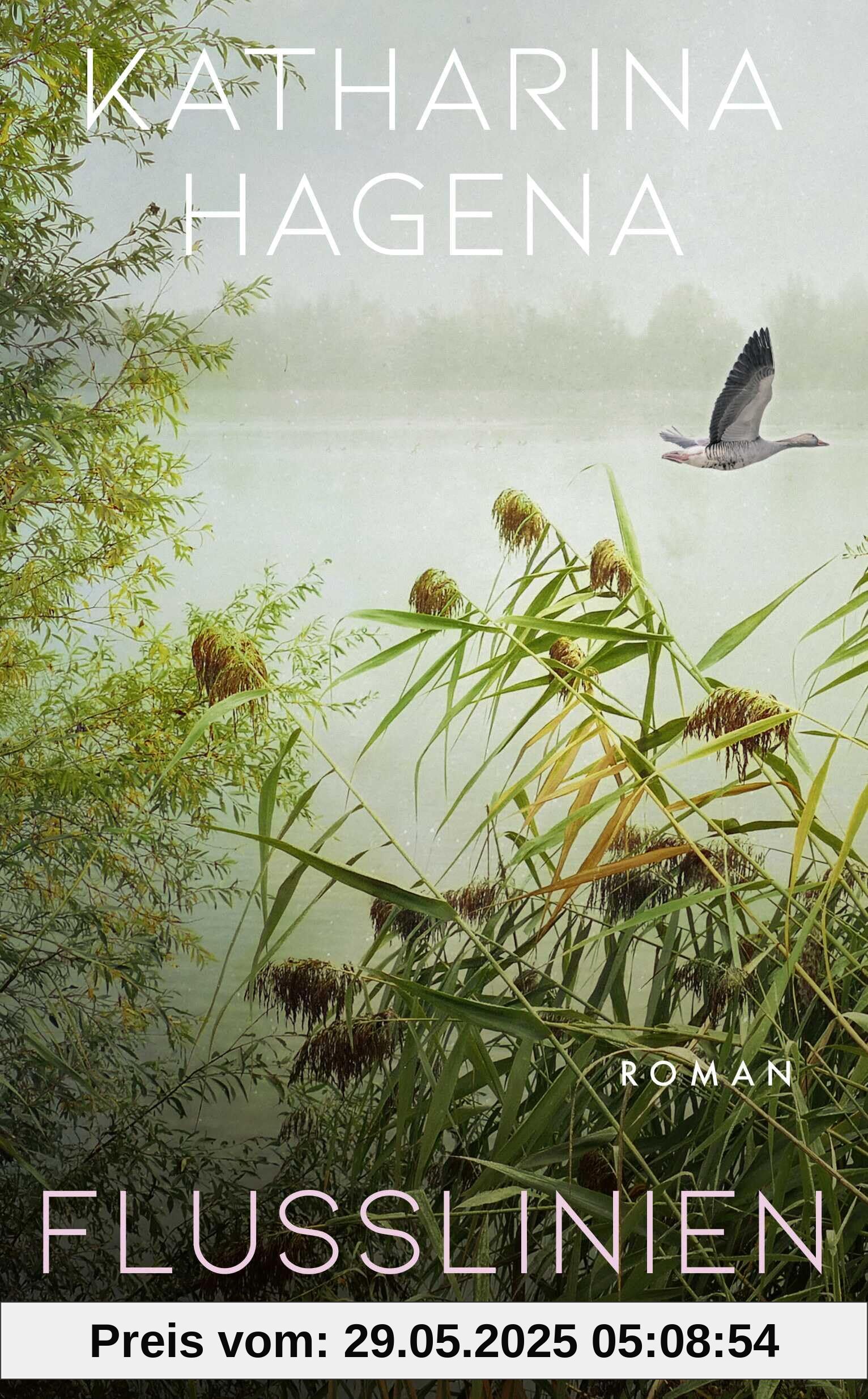 Flusslinien: Roman