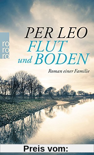 Flut und Boden: Roman einer Familie
