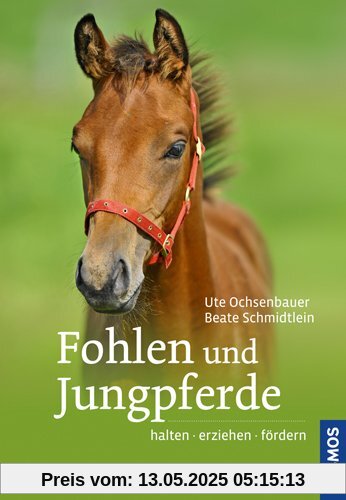 Fohlen und Jungpferde: halten, erziehen, fördern