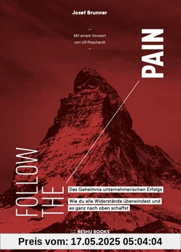 Follow The Pain: Das Geheimnis unternehmerischen Erfolgs – Wie du alle Widerstände überwindest und es ganz nach oben schaffst