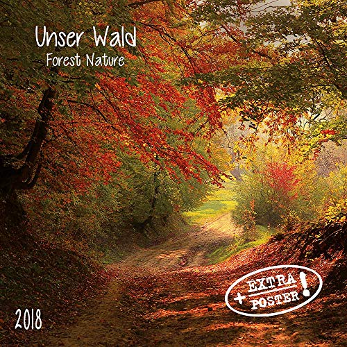 Forest Nature/Unser Wald 2024: Kalender 2024 (Artwork Edition) von Tushita PaperArt
