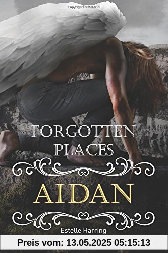 Forgotten Places: Aidan (Band 4)