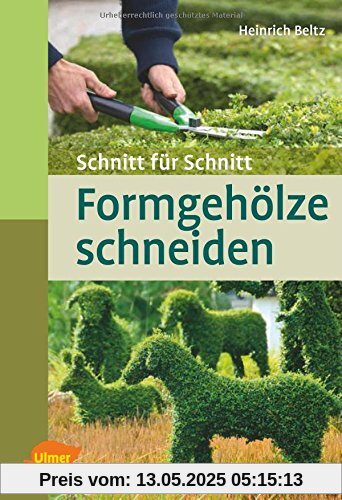 Formgehölze schneiden: Schnitt für Schnitt
