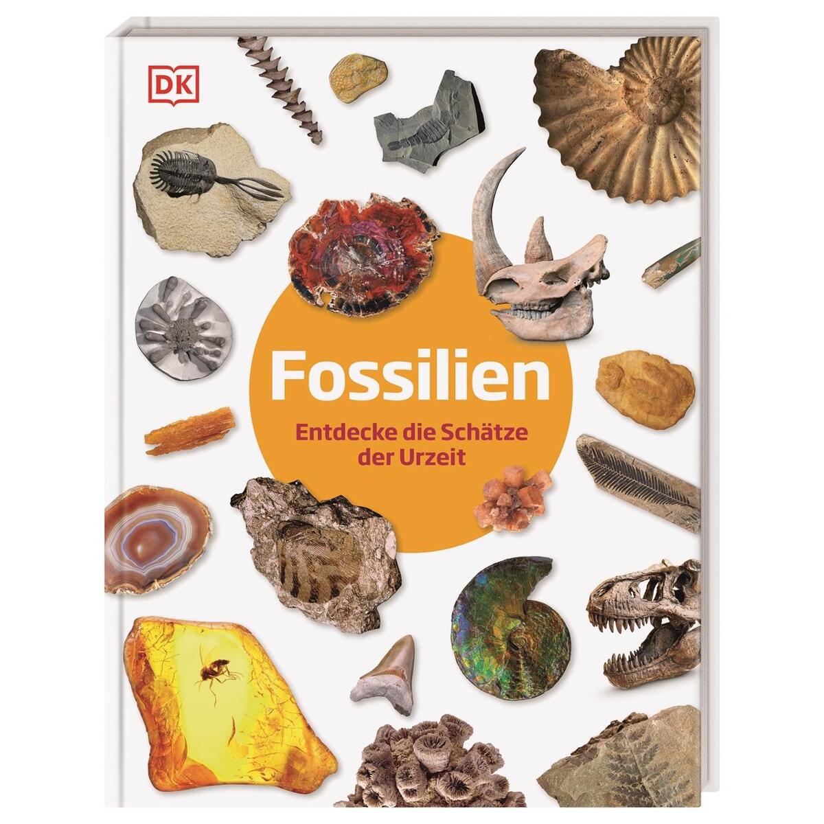 Fossilien von Dorling Kindersley Verlag