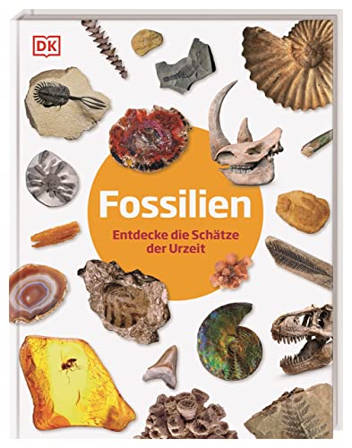 Fossilien: Entdecke die Schätze der Urzeit. Fossilien-Lexikon. Für Kinder ab 6 Jahren (Steckbriefe)