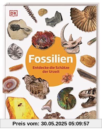 Fossilien: Entdecke die Schätze der Urzeit