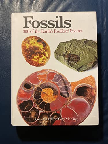 Fossils: 300 of the Earth's Fossilized Species (Mini Encyclopedia) von Amber Books